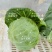 甘兰/包菜/圆包菜/甘蓝通货/精品规格齐全可打包