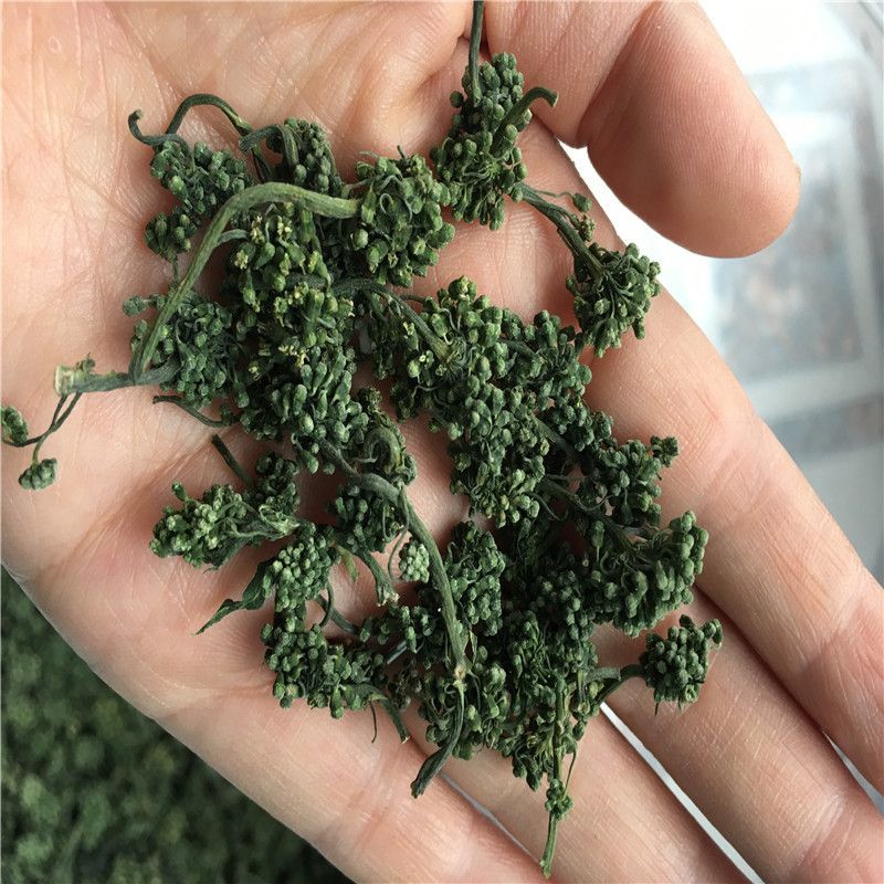 长白山人参花人参花蕾养生茶饮秋冬进补火锅食材