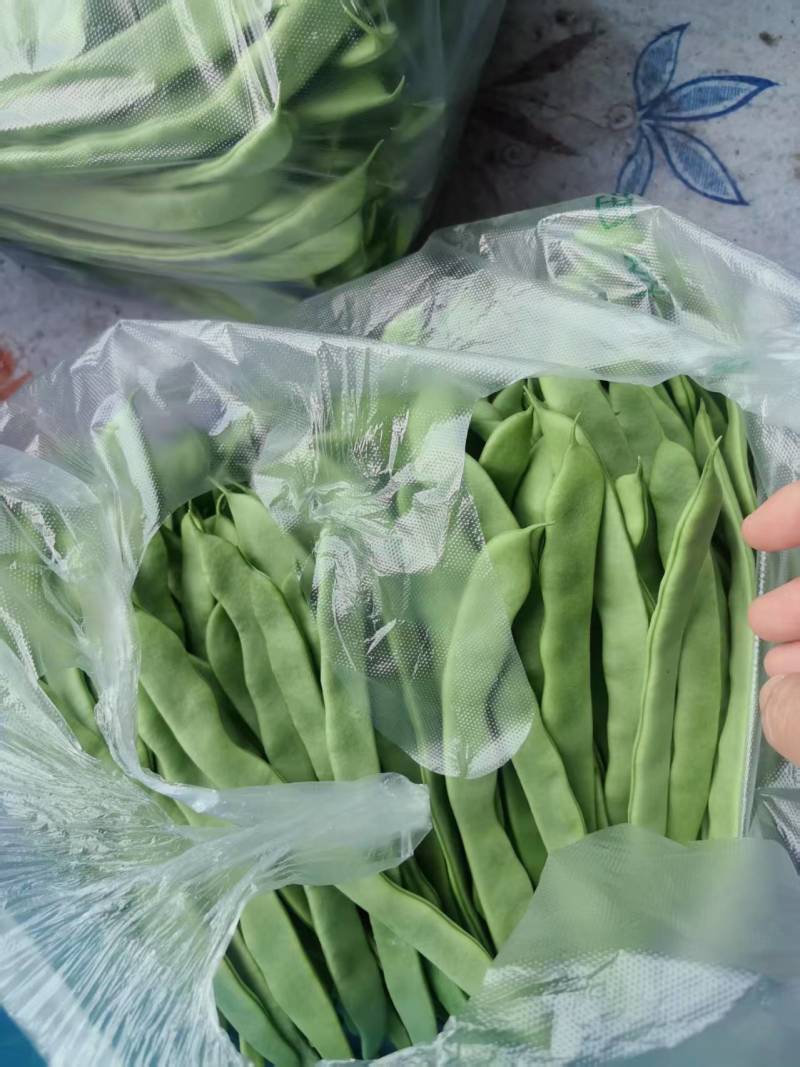 江苏精品扁豆，扁芸豆，大扁豆，绿扁豆，市场货大量供应