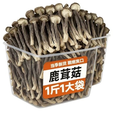 【一斤装】净重高档鹿茸菇干货煲汤炖汤食材菌菇家用