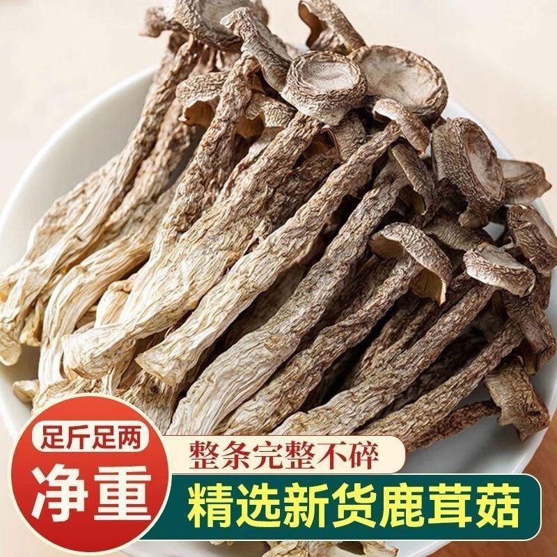 【一斤装】净重高档鹿茸菇干货煲汤炖汤食材菌菇家用