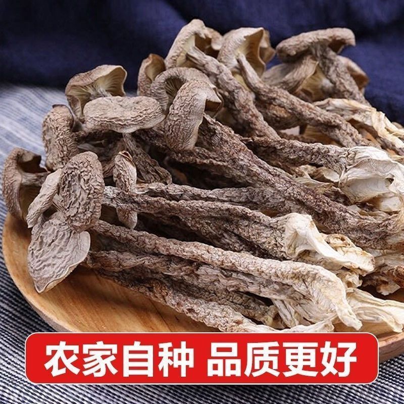【一斤装】净重高档鹿茸菇干货煲汤炖汤食材菌菇家用