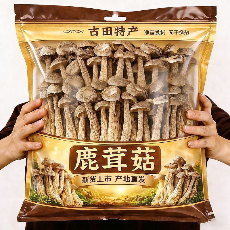 【一斤装】净重高档鹿茸菇干货煲汤炖汤食材菌菇家用