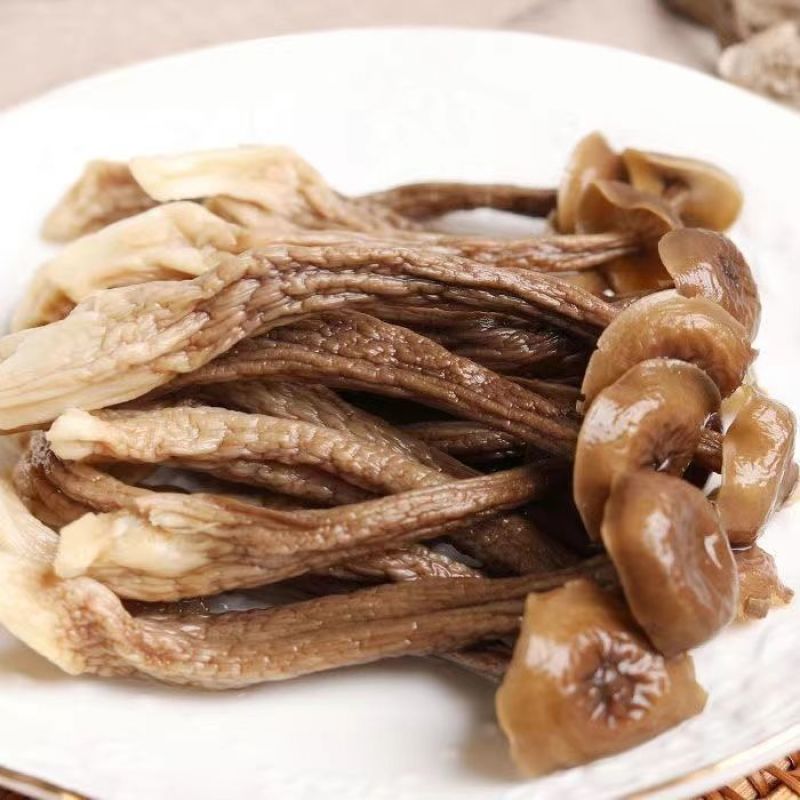 【一斤装】净重高档鹿茸菇干货煲汤炖汤食材菌菇家用