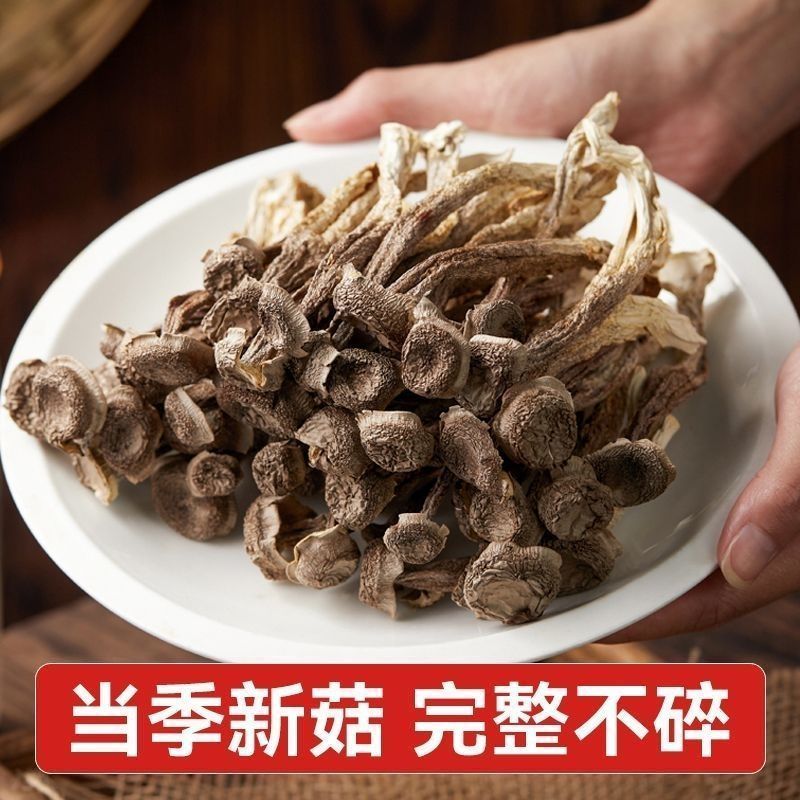 【一斤装】净重高档鹿茸菇干货煲汤炖汤食材菌菇家用