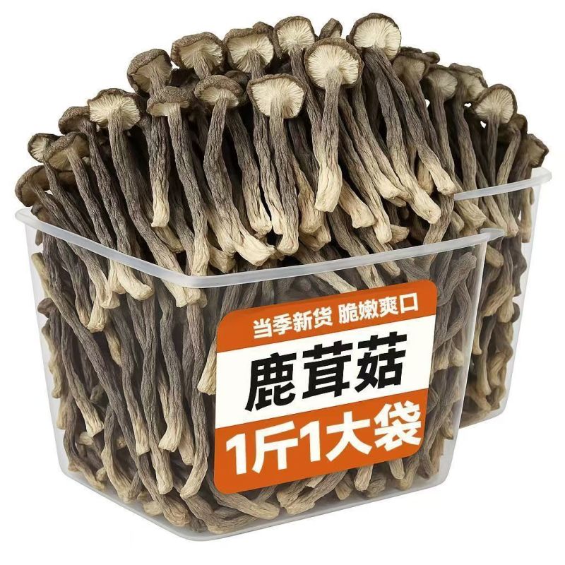 【一斤装】净重高档鹿茸菇干货煲汤炖汤食材菌菇家用