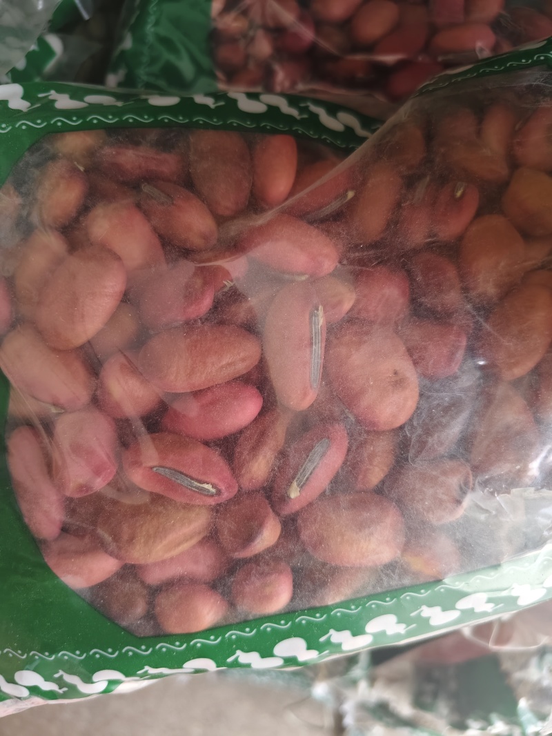 刀豆无硫精选红白刀豆齐全批发零售量大从优