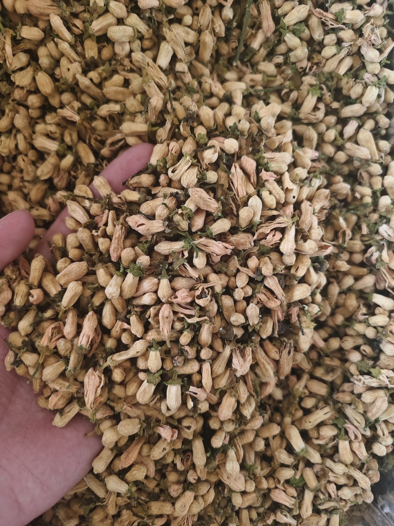 玳玳花无硫精选玳玳花干净无杂批发零售