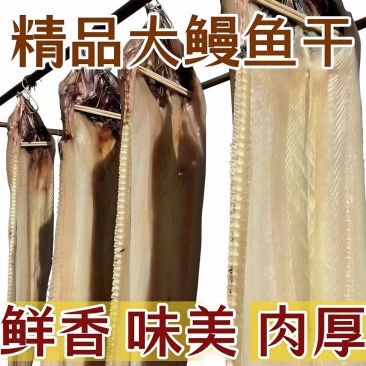 特大整条鳗鱼干500g渔民自晒咸鱼干鱼干干货5成干非即食