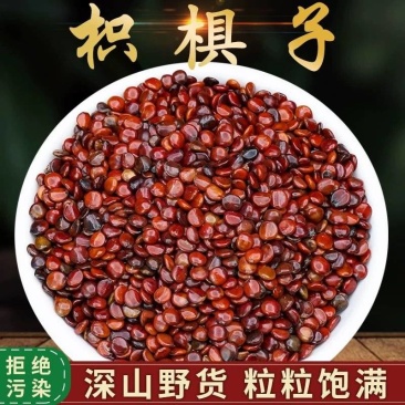 枳椇子精选优质枳椇子批发零售量大从优