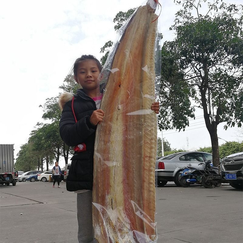 特大整条鳗鱼干500g渔民自晒咸鱼干鱼干干货5成干非即食