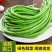 中国蔬菜**县长豆角四季供货，源头直供欢迎老板订购