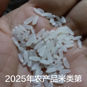 黑龙江泰来大米（稻花香，中科发五等）预订当年新米，招代理