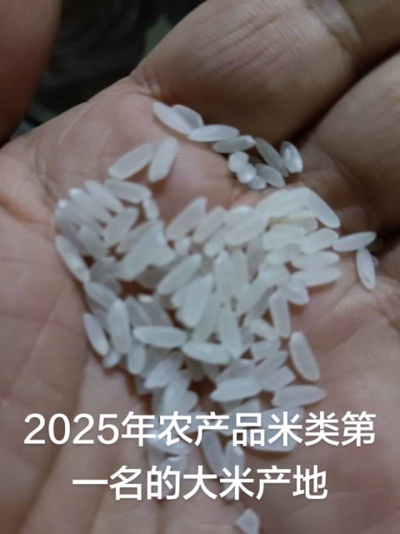 黑龙江泰来大米（稻花香，中科发五等）预订当年新米，招代理