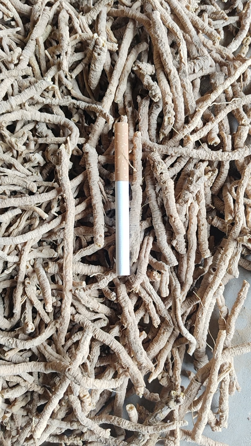 远志系列