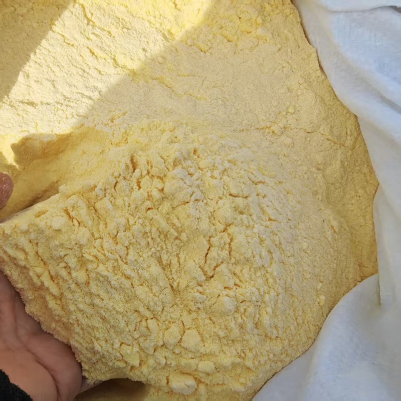 黑龙江玉米面价格优惠量大从优质量好走货快欢迎询价