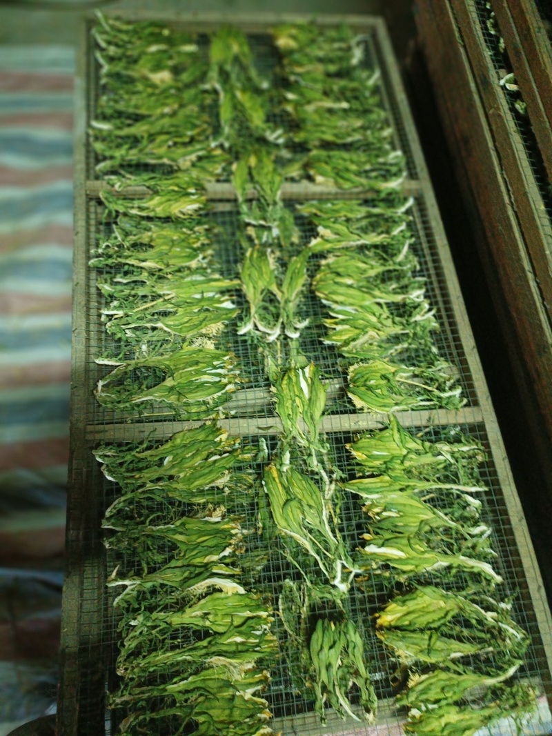 霸王花干，剑花，干货传统工艺制作，用家庭煲汤，焖鸭.火锅