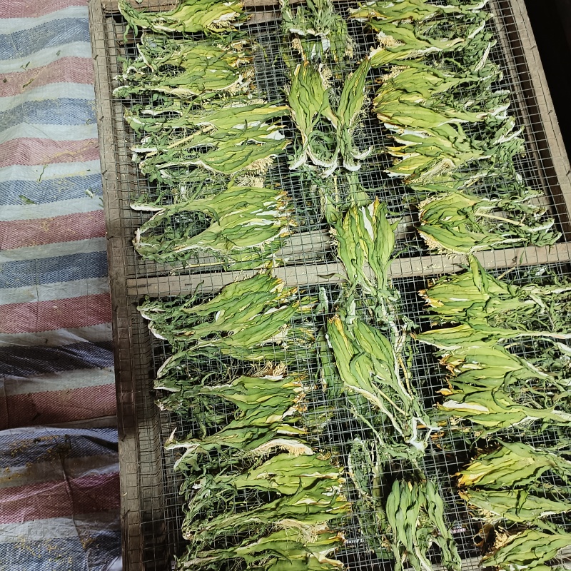 霸王花干，剑花，干货传统工艺制作，用家庭煲汤，焖鸭.火锅