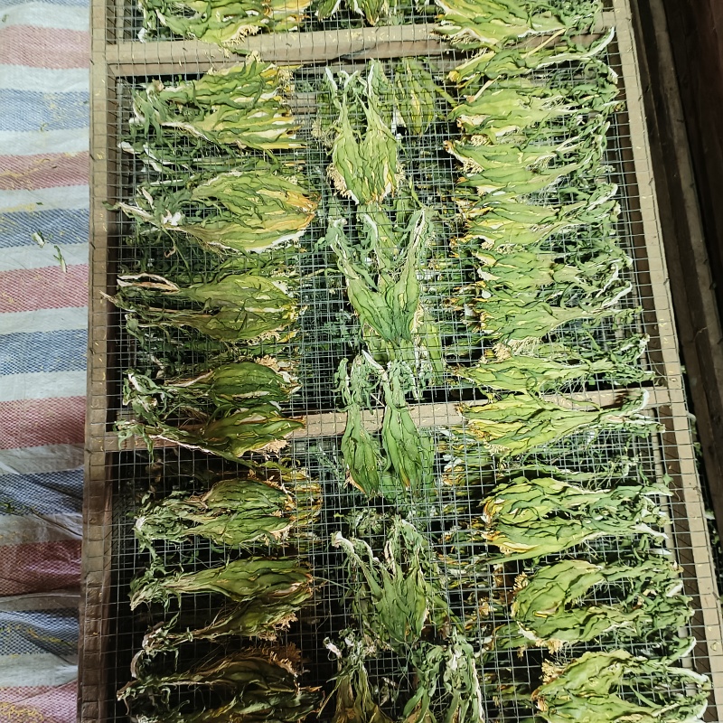 霸王花干，剑花，干货传统工艺制作，用家庭煲汤，焖鸭.火锅