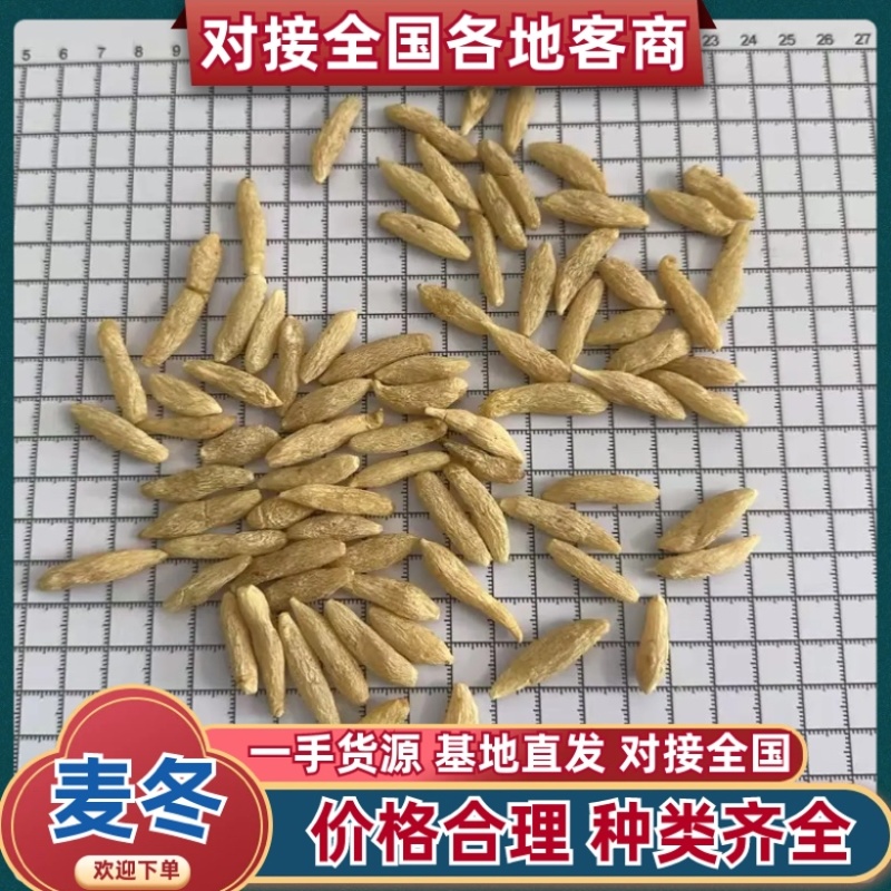 10斤也是批发价川麦冬快速发货现现发全国发货