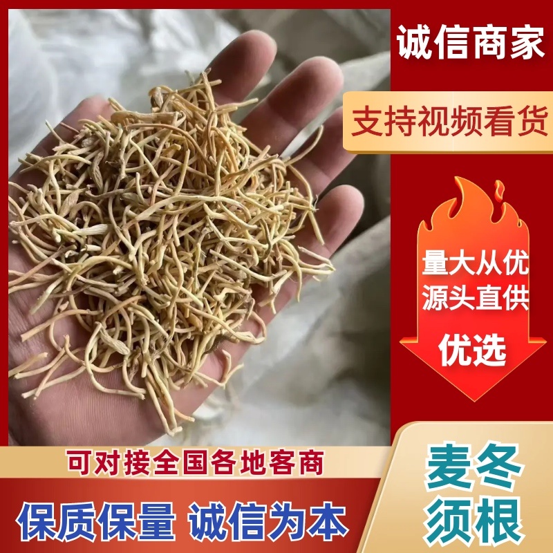 精品川麦冬根须，优质量大。2026新货上市