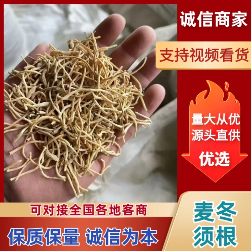 精品川麦冬根须，优质量大。2026新货上市