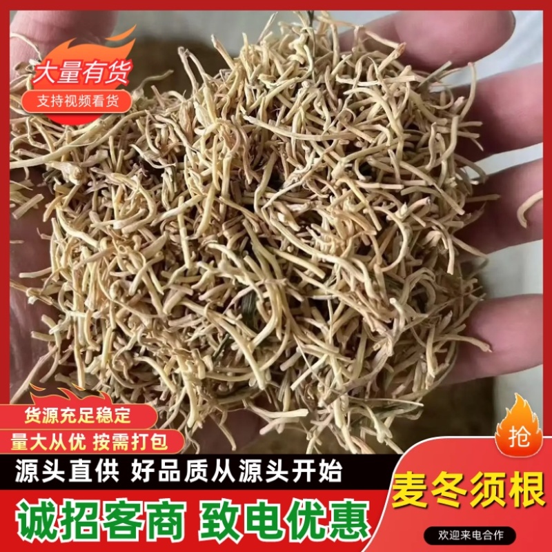 精品川麦冬根须，优质量大。2026新货上市