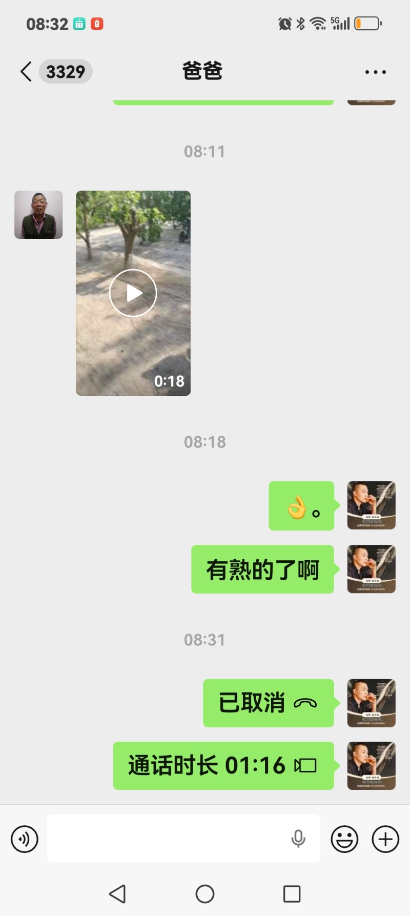 黑桑葚，现货，通货，榨汁，药食双用，日产量几十吨。欢迎各