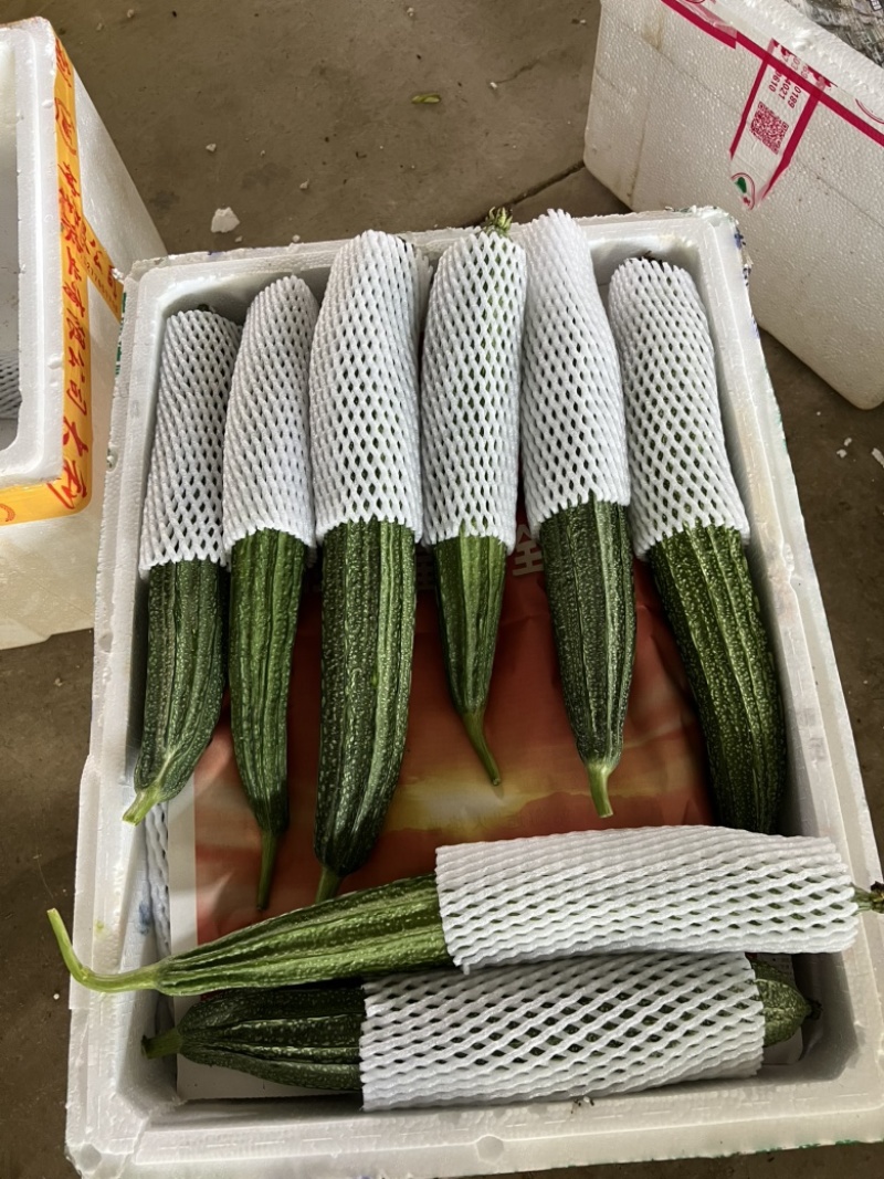 产地直发八角丝瓜量大从优