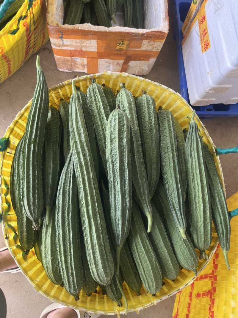 产地直发八角丝瓜量大从优