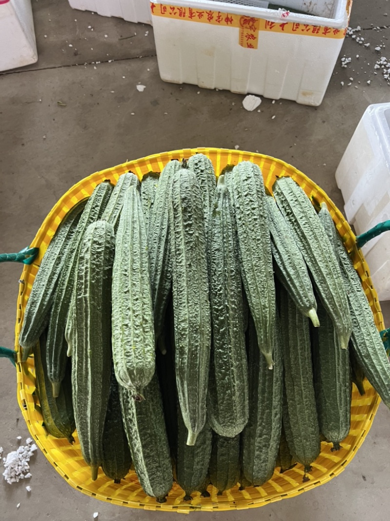 产地直发八角丝瓜量大从优