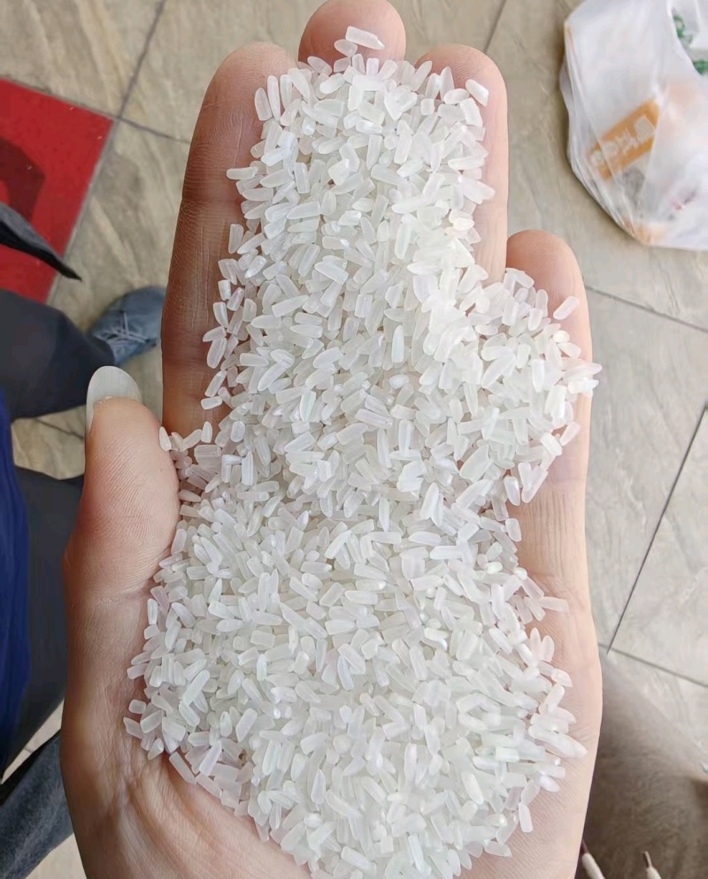 越南碎香米象牙香碎香味浓口感Q弹