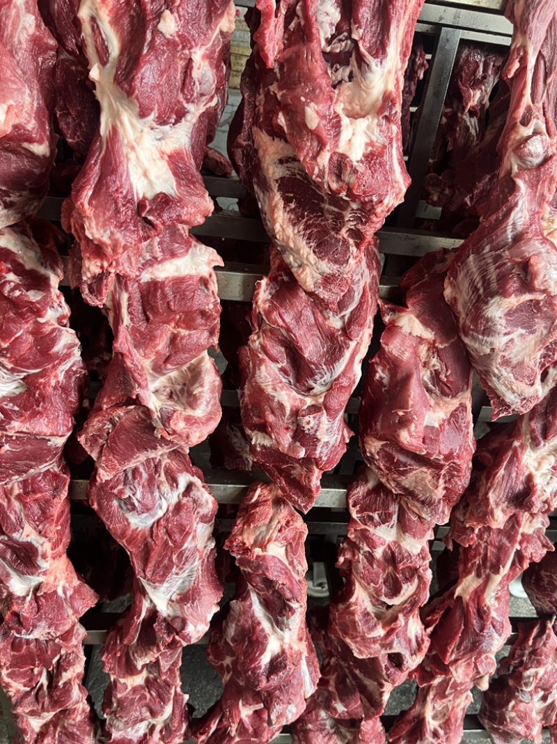 一号肉