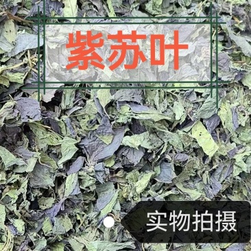 紫苏叶中药材自然晒干***诚信经营中药材合作共赢