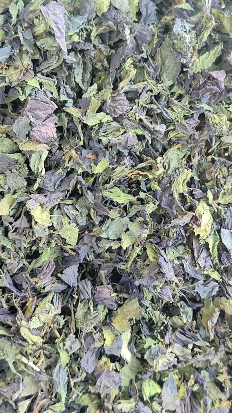 紫苏叶中药材自然晒干***诚信经营中药材合作共赢