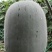 自己家基地，精品小米冬瓜