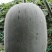 自己家基地，精品小米冬瓜