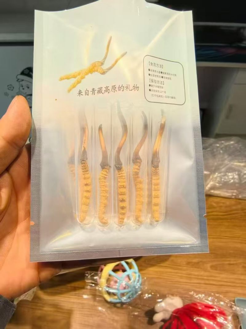 鲜冬虫夏草0.3-0.8新鲜现挖规格全量大优品质保