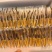 鲜冬虫夏草0.3-0.8新鲜现挖规格全量大优品质保