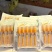 鲜冬虫夏草0.3-0.8新鲜现挖规格全量大优品质保