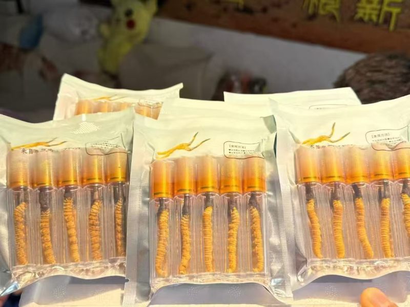 鲜冬虫夏草0.3-0.8新鲜现挖规格全量大优品质保