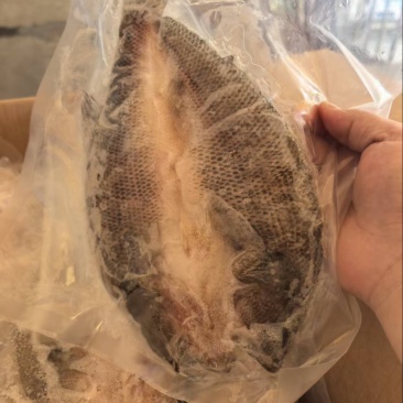 开背鲈鱼淡水鲈鱼300-400规格电商餐饮批发