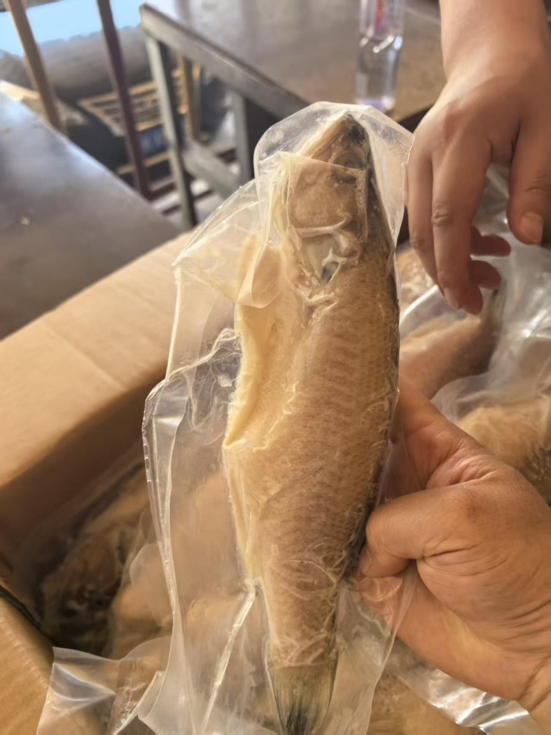 开背鲈鱼淡水鲈鱼300-400规格电商餐饮批发