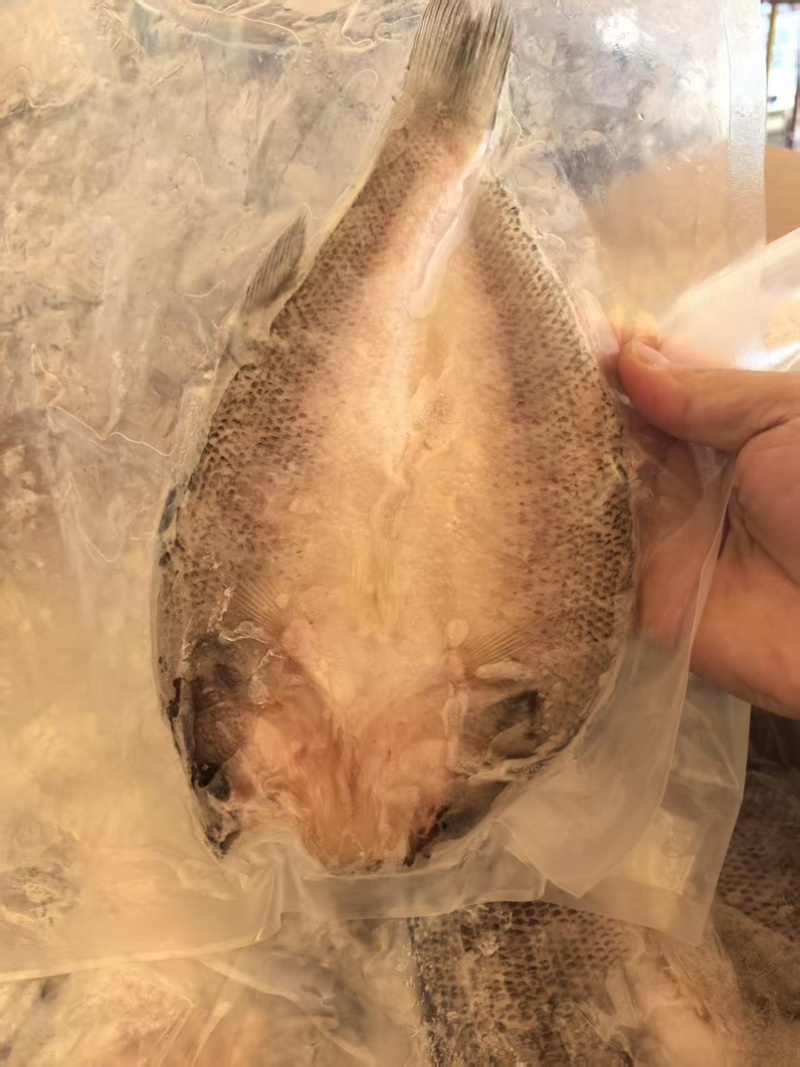 开背鲈鱼淡水鲈鱼300-400规格电商餐饮批发