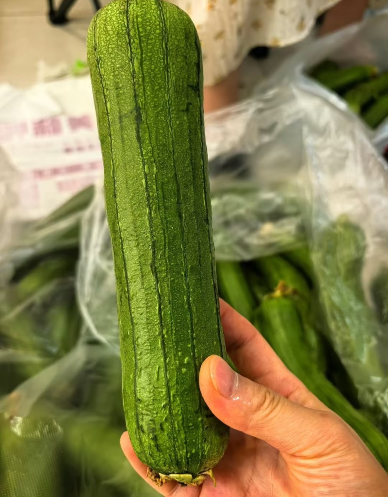 丝瓜河南油皮丝瓜产地直销，规格齐全，可视频看货代发全国
