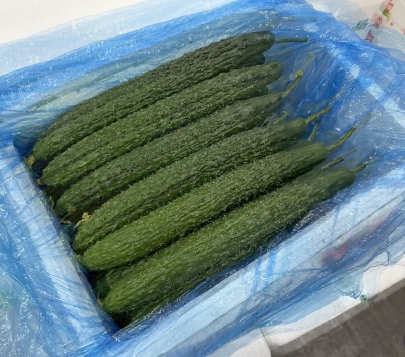密刺黄瓜，河南黄瓜，大量现货供应，品质保证，对接市场批发