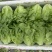 本地生菜大量有货