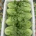本地生菜大量有货