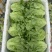 本地生菜大量有货