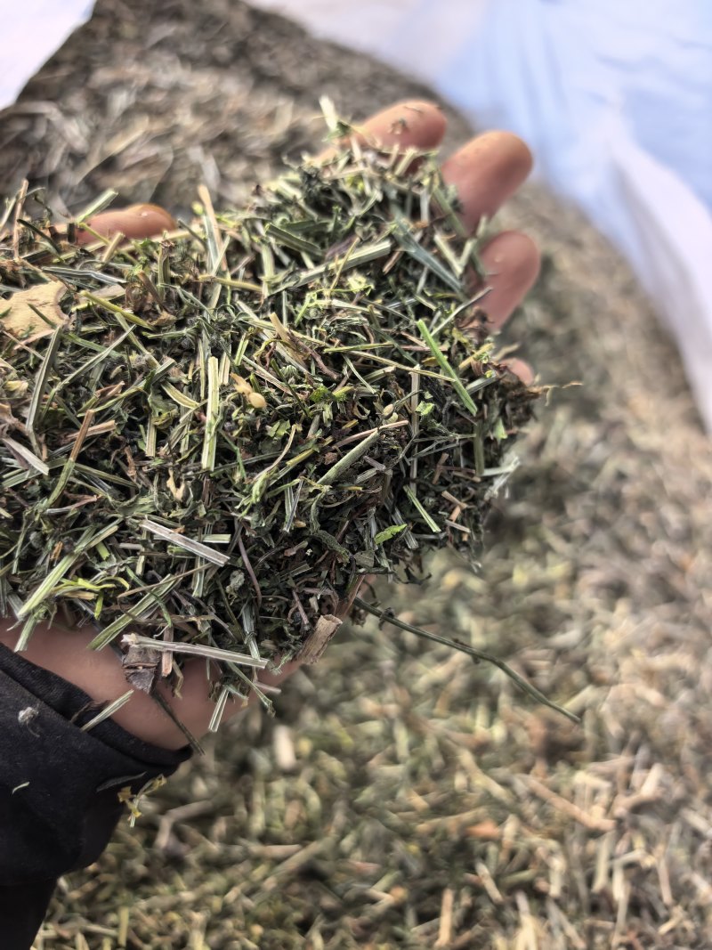中草药，朱朱央